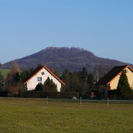Sonnenblume 1 * Pfaffendorf (Markersdorf)