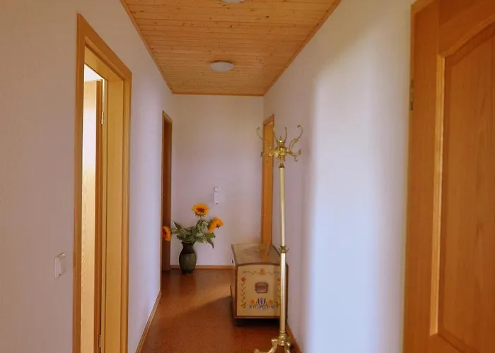 Sonnenblume 1 Pfaffendorf (Markersdorf)